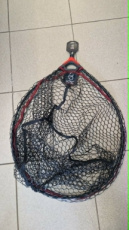 Schepnet Tubertini 'Berteyn' (55x45cm) 20mm Mesh
