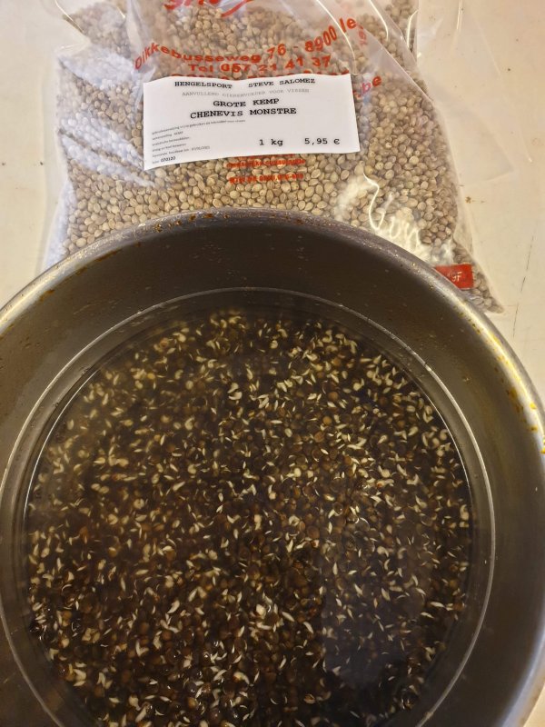 Graine de chènevis - 5kg | 5kg | EVZ697044